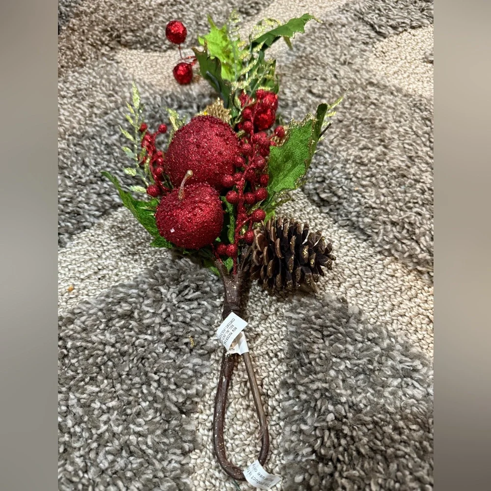 Pier 1 Rustic Twig Star & Snowflake Ornaments Michaels Fruit Pick Set of 5